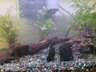 20181201_154121.jpg